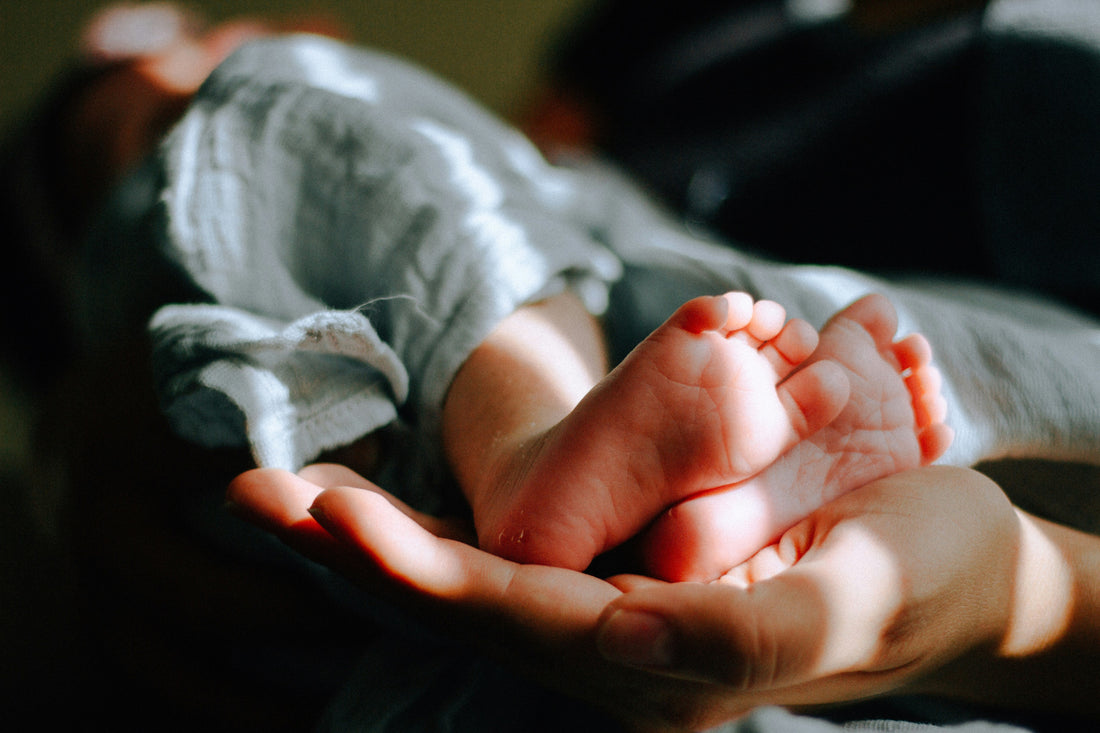 Der komplette Nährstoff-Guide für Babys erstes Lebensjahr: Was dein Kind wirklich braucht