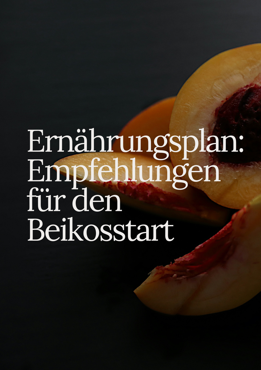 Ernährungsplan